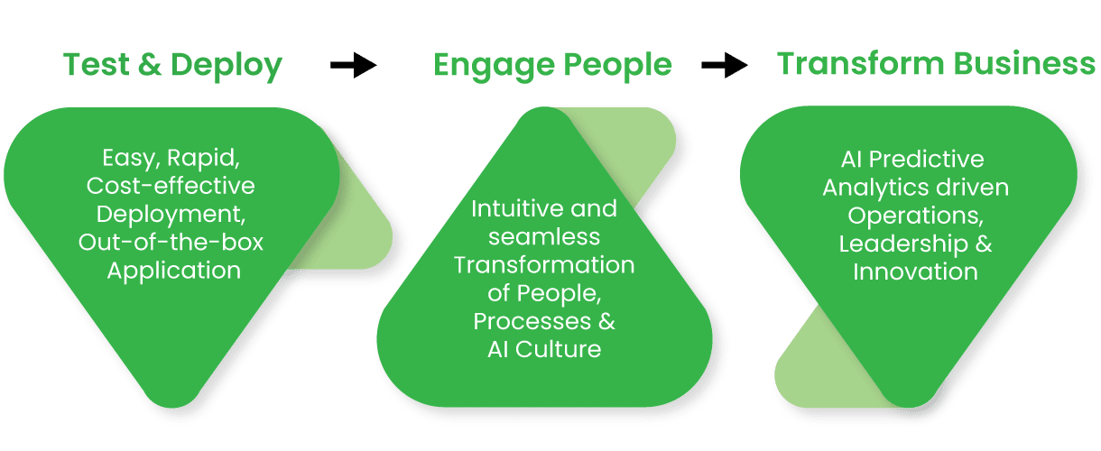 AI Adoption Process